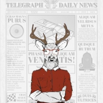Jeleń na gazecie